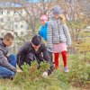 Воскресная школа » возделывание сада